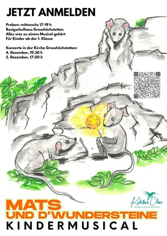 Mats und d'Wundersteine Plakat