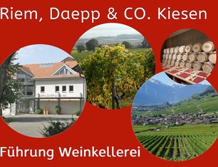 Programm angebote 60 plus 2026_Seite_37