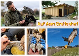 Programm angebote 60 plus 2026_Seite_19